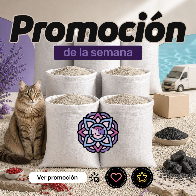 Ver promociones de temporada de ArenaMixi
